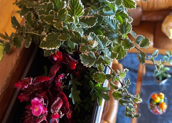 Splav Na Savi Kalivarija 빌라 베오그라드