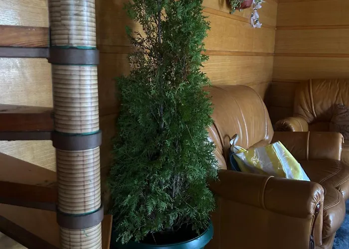 Splav Na Savi Kalivarija 베오그라드