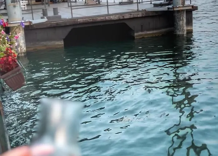 Willa Splav Na Savi Kalivarija Belgrad